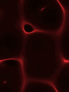 0082.gif